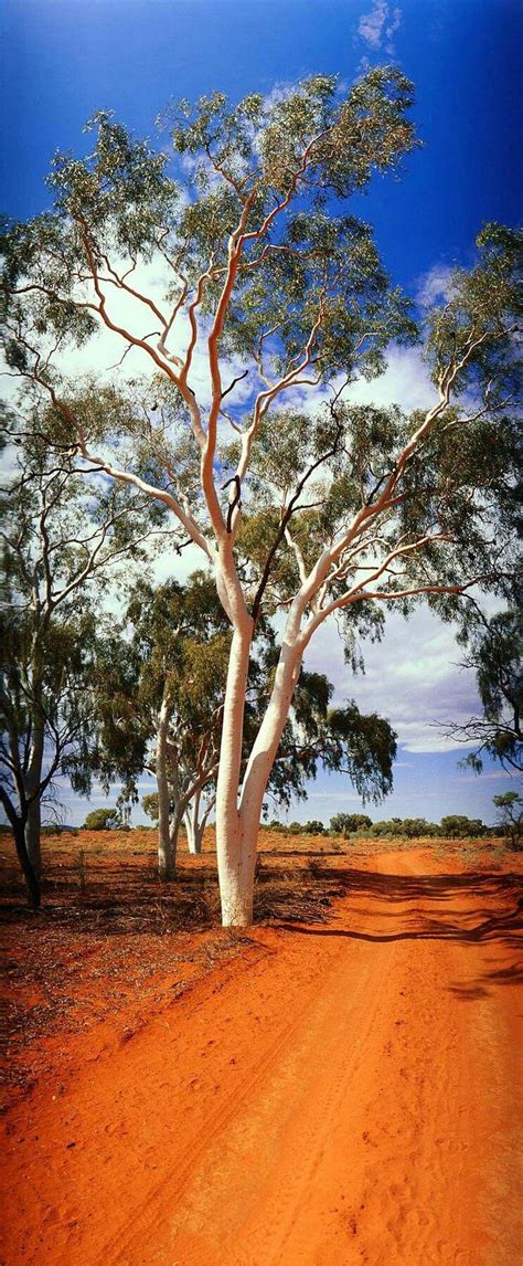 gumtree western australia